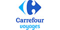 Logo Carrefour Voyages